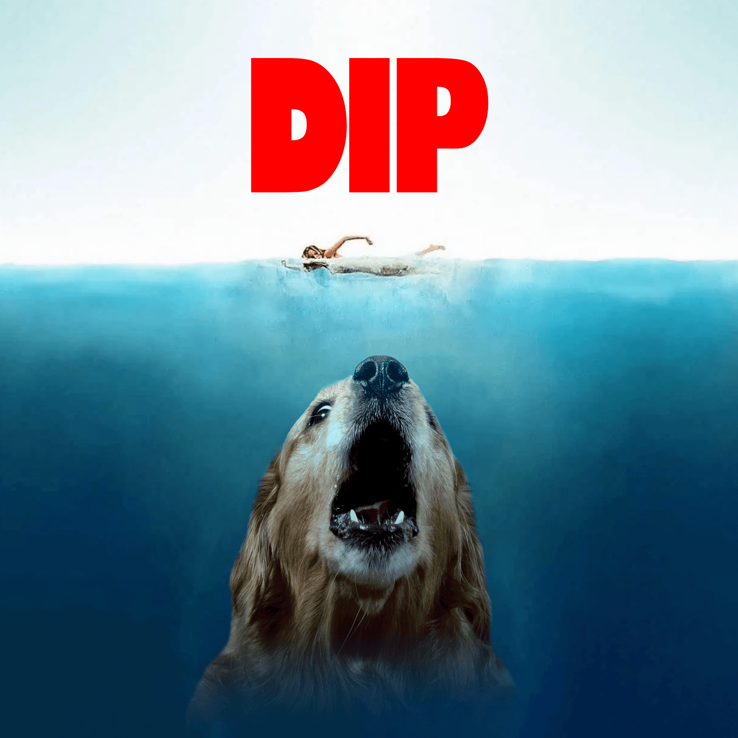 DIP Meme 5